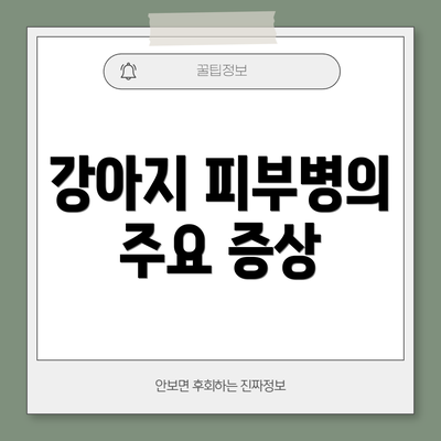 강아지 피부병의 주요 증상