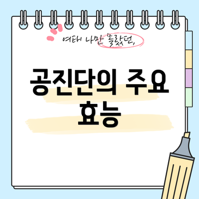 공진단의 주요 효능