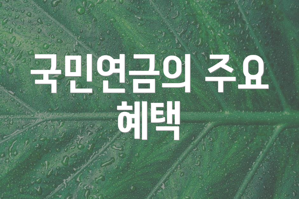 국민연금의 주요 혜택