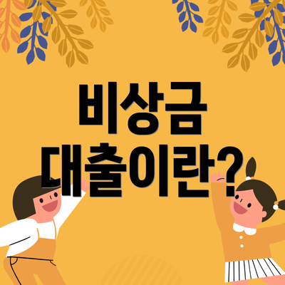 비상금 대출이란?