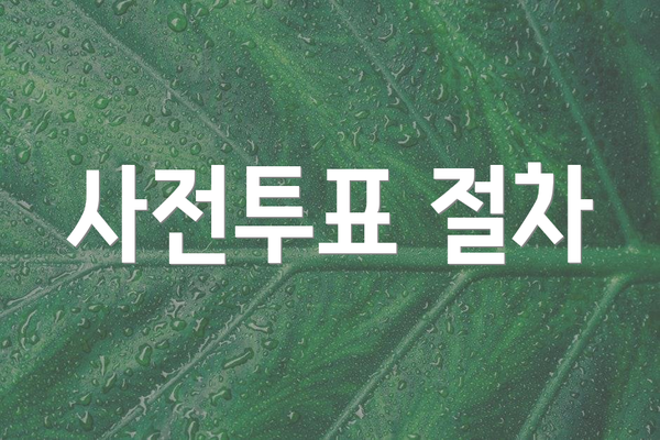 사전투표 절차