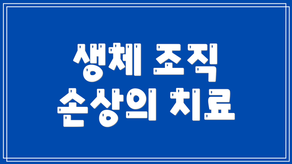 생체 조직 손상의 치료