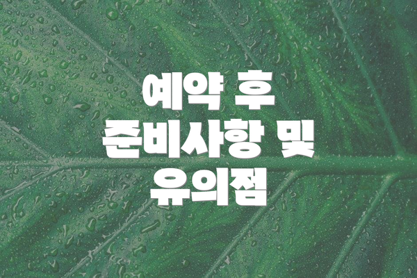 예약 후 준비사항 및 유의점