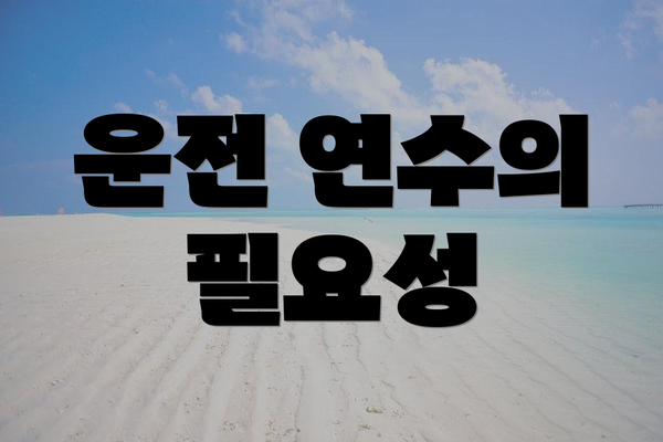 운전 연수의 필요성