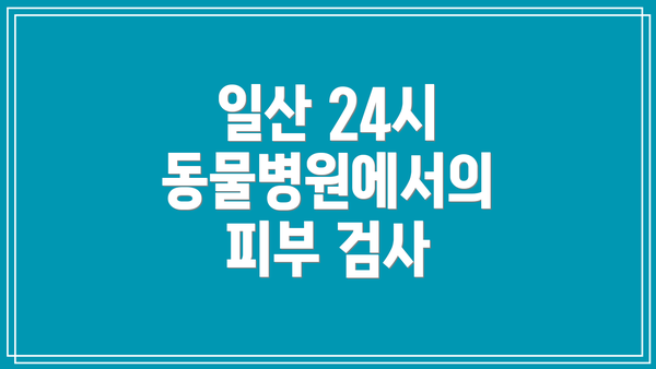 일산 24시 동물병원에서의 피부 검사