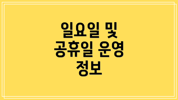 일요일 및 공휴일 운영 정보