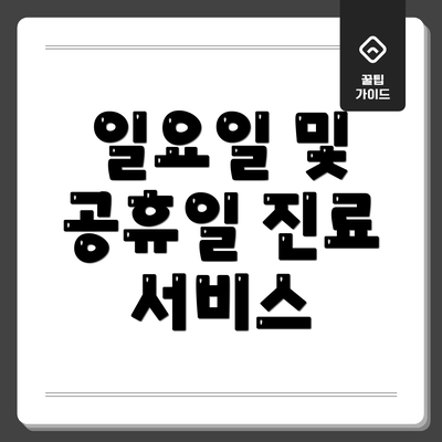 일요일 및 공휴일 진료 서비스