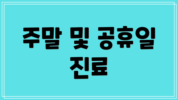 주말 및 공휴일 진료