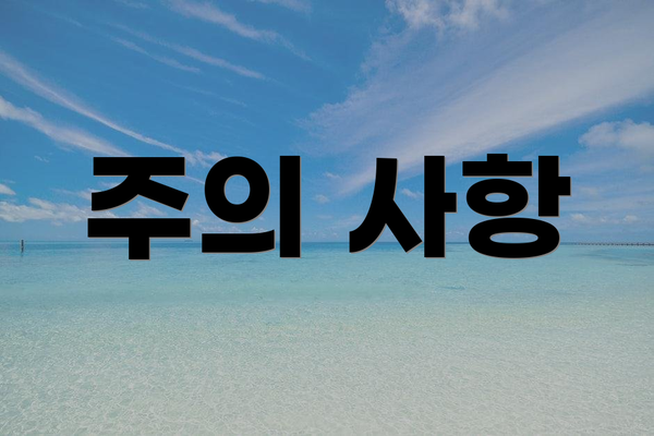 주의 사항