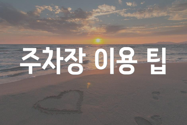 주차장 이용 팁