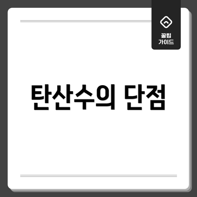 탄산수의 단점