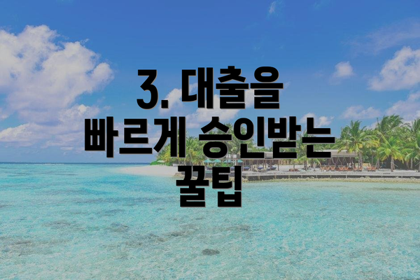 3. 대출을 빠르게 승인받는 꿀팁