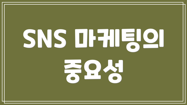 SNS 마케팅의 중요성