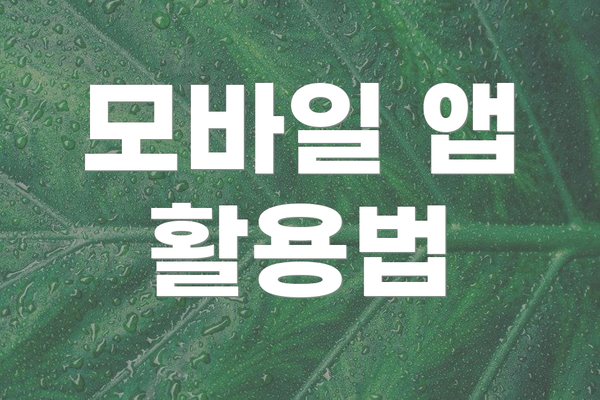 모바일 앱 활용법