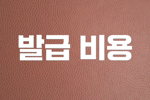 발급 비용