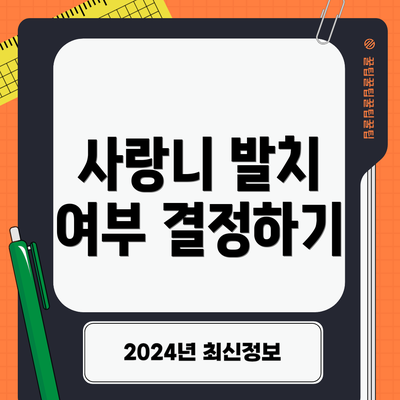 사랑니 발치 여부 결정하기