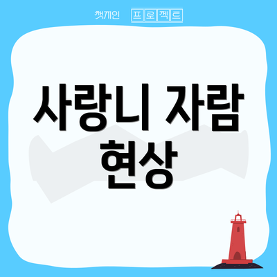 사랑니 자람 현상