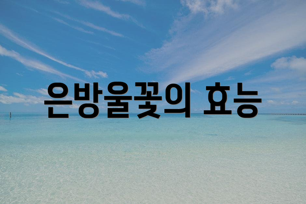 은방울꽃의 효능