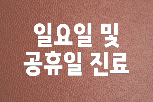 일요일 및 공휴일 진료