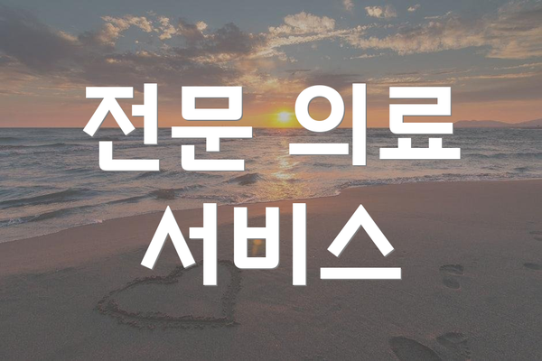 전문 의료 서비스