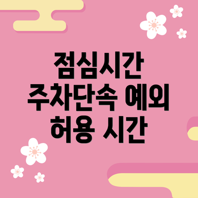 점심시간 주차단속 예외 허용 시간