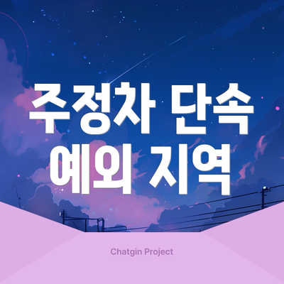 주정차 단속 예외 지역