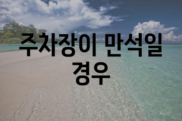 주차장이 만석일 경우