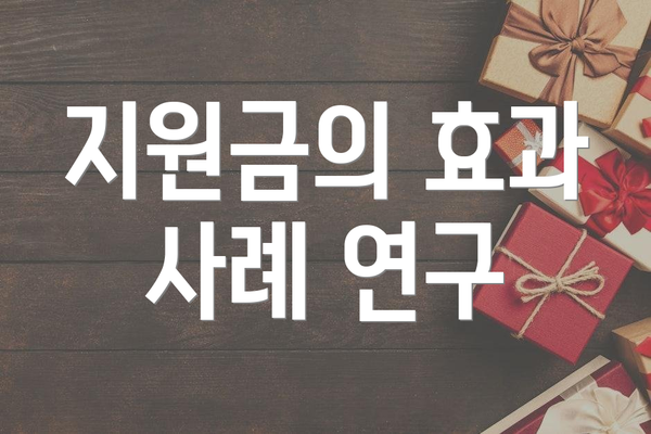 지원금의 효과 사례 연구