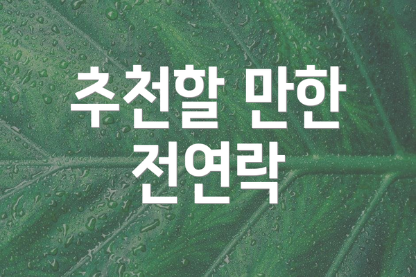 추천할 만한 전연락