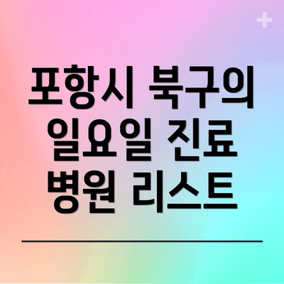 포항시 북구의 일요일 진료 병원 리스트