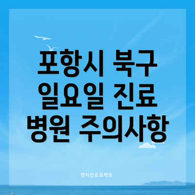 포항시 북구 일요일 진료 병원 주의사항