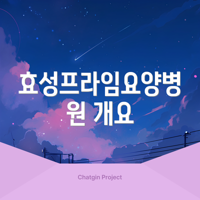 효성프라임요양병원 개요