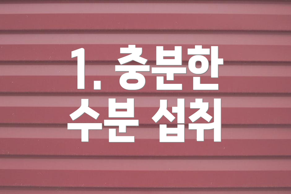 1. 충분한 수분 섭취