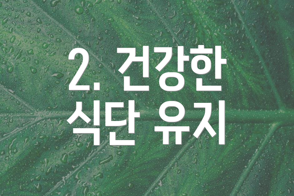 2. 건강한 식단 유지