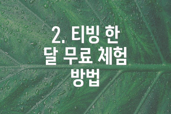 2. 티빙 한 달 무료 체험 방법