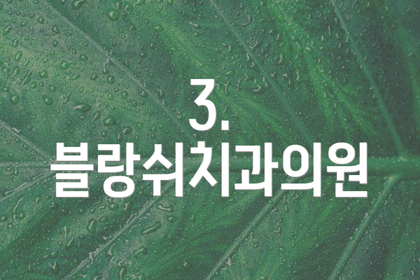 3. 블랑쉬치과의원