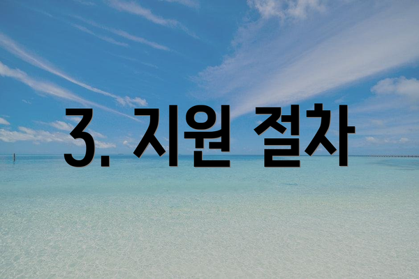 3. 지원 절차
