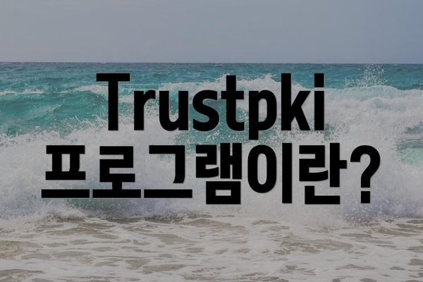Trustpki 프로그램이란?
