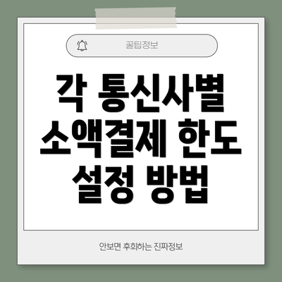 각 통신사별 소액결제 한도 설정 방법