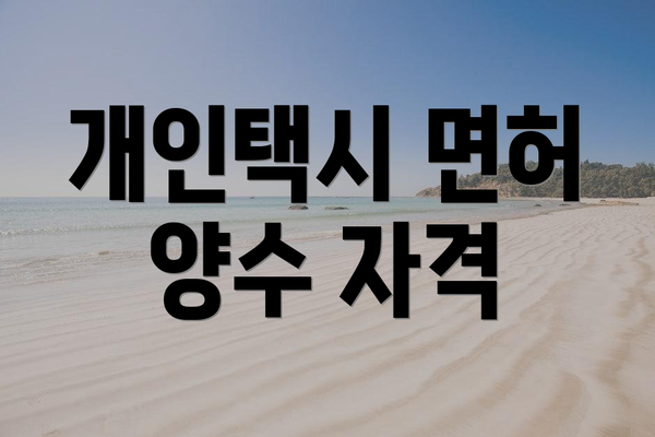 개인택시 면허 양수 자격