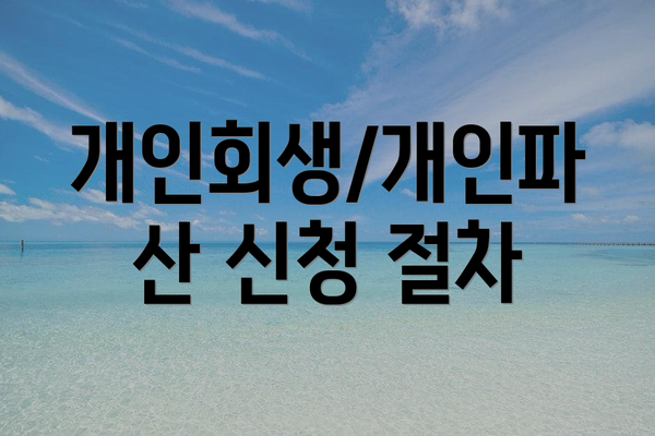 개인회생/개인파산 신청 절차