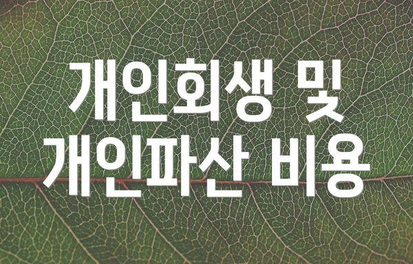 개인회생 및 개인파산 비용