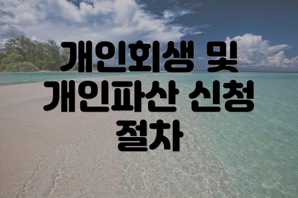 개인회생 및 개인파산 신청 절차