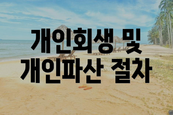 개인회생 및 개인파산 절차