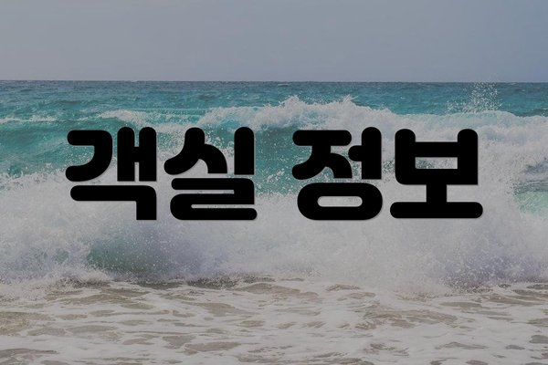 객실 정보