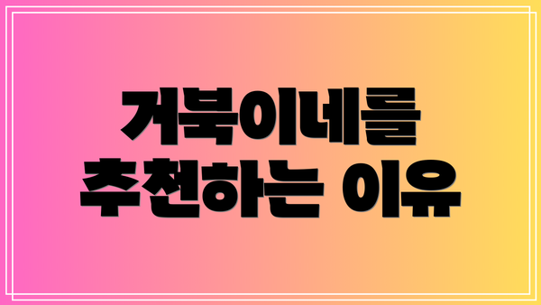 거북이네를 추천하는 이유