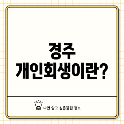 경주 개인회생이란?