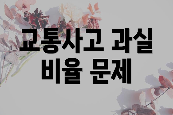 교통사고 과실 비율 문제