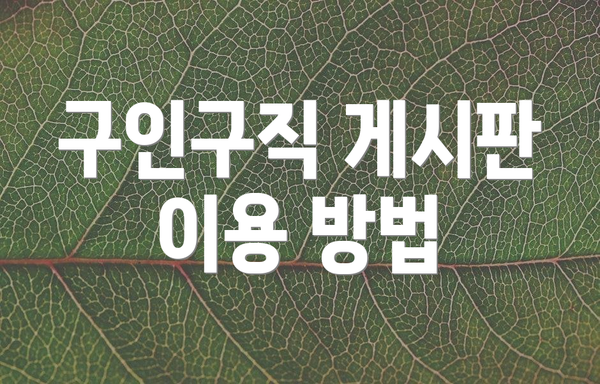 구인구직 게시판 이용 방법
