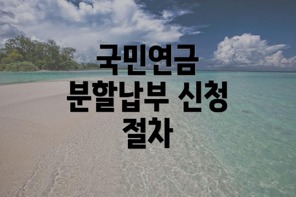 국민연금 분할납부 신청 절차